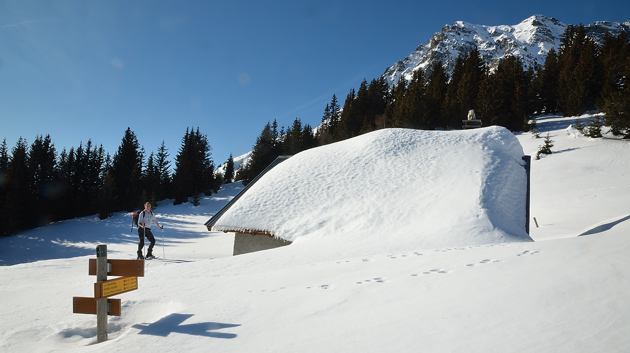 DSC_0834.jpg