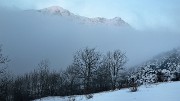 DSC_0850