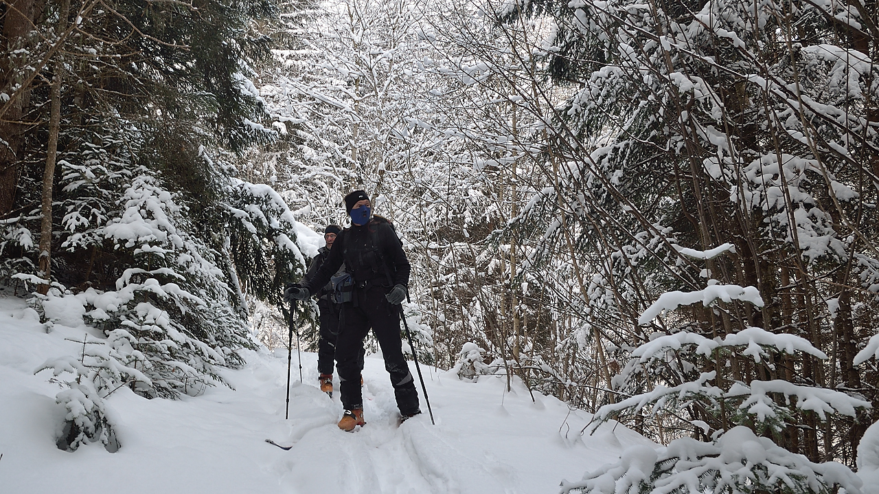 DSC_1044.jpg - Au début, on suit la piste forestière