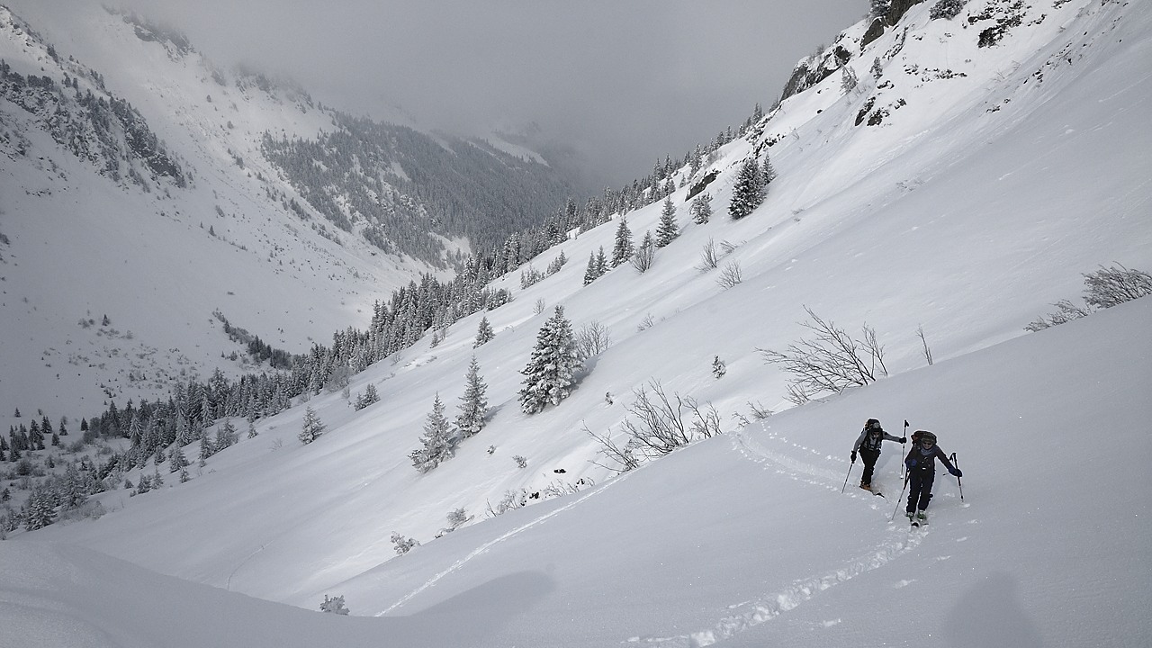 Pierre-120204-122515.jpg