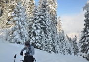 DSC_1056