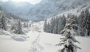 DSC_1062