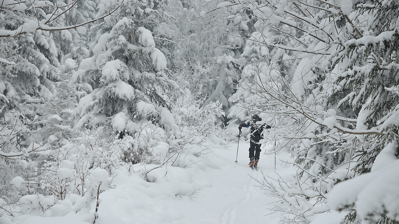 DSC_1134.jpg - Départ sur la route forestière dans le brouillard et les flocons de neige