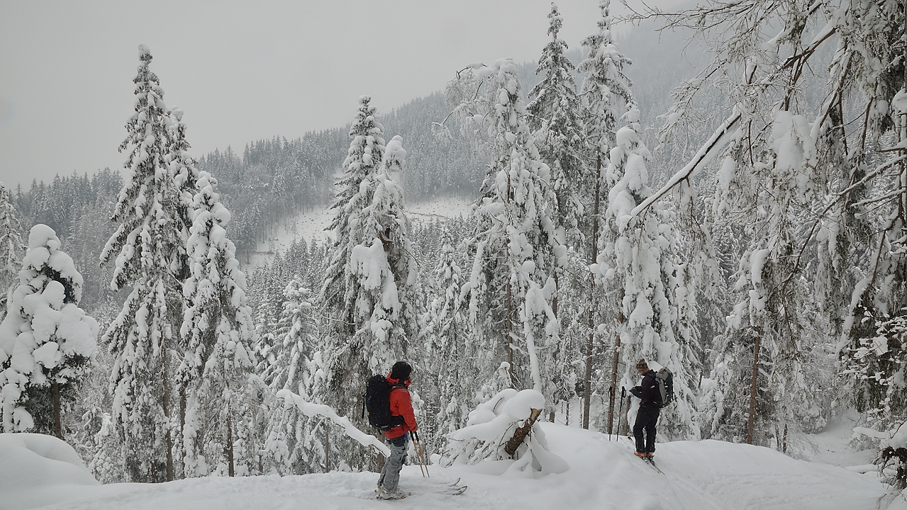 DSC_1160.jpg - De retour dans les paysages hivernaux