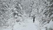 DSC_1134