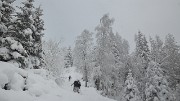 DSC_1136