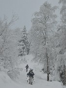 DSC_1137
