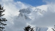 DSC_1173