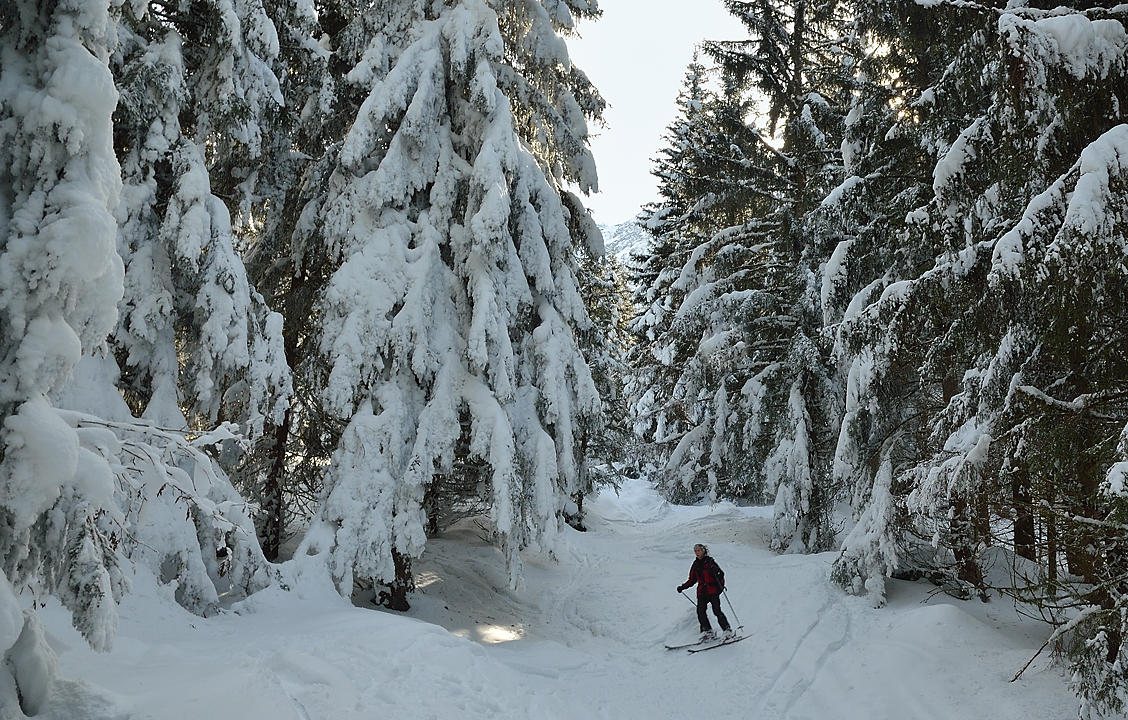 12-02-18_28-DSC_1220Gleyzin.jpg - Tout en bas, la forêt reçoit quelques rayons de soleil mais la neige y est toujours