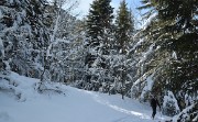12-02-18_26-DSC_1218Gleyzin