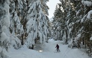 12-02-18_28-DSC_1220Gleyzin