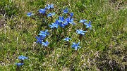 PointeLamet-120602-029-DSC_2098