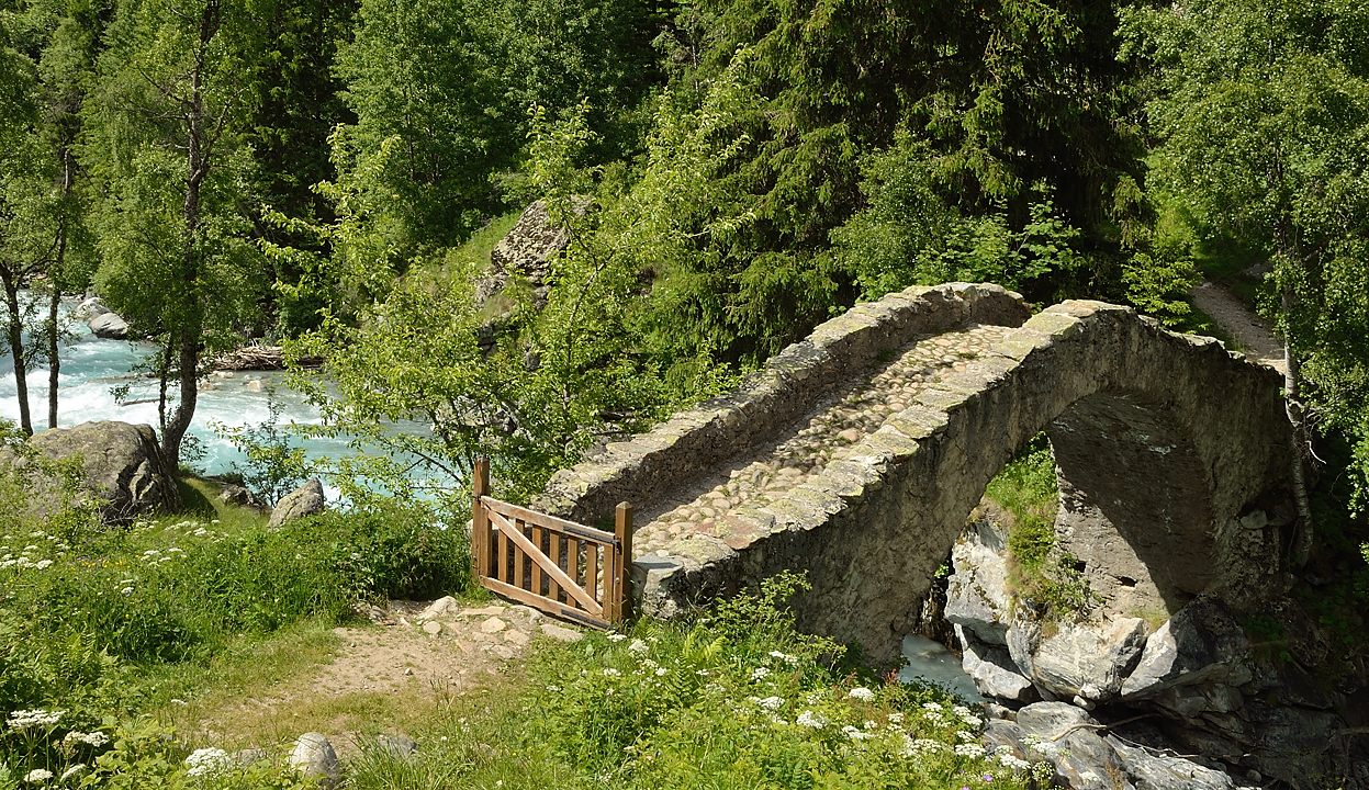 BerardeLavey-120616-018.jpg - Pont sur le Vénéon
