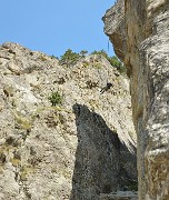 BerardeLavey-120616-015