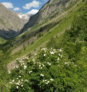 BerardeLavey-120616-019