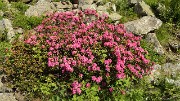 BerardeLavey-120616-022
