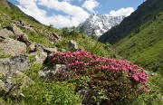 BerardeLavey-120616-024
