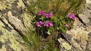 BerardeLavey-120617-040