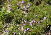 BerardeLavey-120617-065