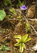 VillardReymond-2012-06-24_031-