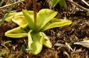 VillardReymond-2012-06-24_033-