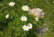 VillardReymond-2012-06-24_037-