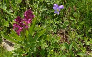 VillardReymond-2012-06-24_040-