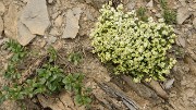 VillardReymond-2012-06-24_042-