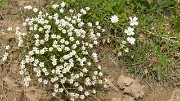 VillardReymond-2012-06-24_043-