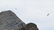 VillardReymond-2012-06-24_056-