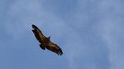 VillardReymond-2012-06-24_060-