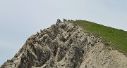VillardReymond-2012-06-24_061-