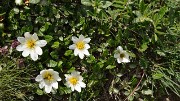VillardReymond-2012-06-24_064-