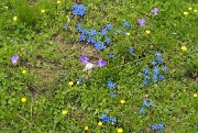 VillardReymond-2012-06-24_080-