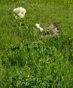VillardReymond-2012-06-24_085-