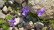PointeConfolens-2012-06-23_023-