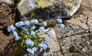 PointeConfolens-2012-06-23_033-