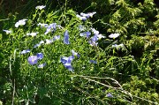 PointeConfolens-2012-06-23_035-