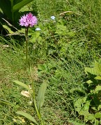 PointeConfolens-2012-06-23_038-