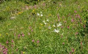PointeConfolens-2012-06-23_048-