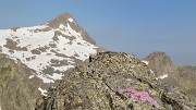 AiguilleArgentie-2012-06-30-013