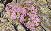 AiguilleArgentie-2012-06-30-017