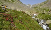 AiguilleArgentie-2012-06-30-033