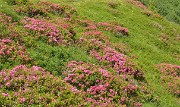 AiguilleArgentie-2012-06-30-040