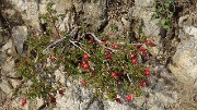 SChristopheToura-120902-030
