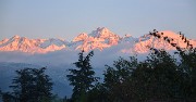 VisiteAmelia-2012-10-29-004