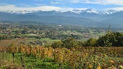 Vendanges-2012-11-01-002