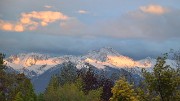 Vendanges-2012-11-01-021