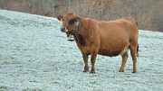 ArclusazBauges-2012-11-17-002