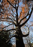ArclusazBauges-2012-11-17-032